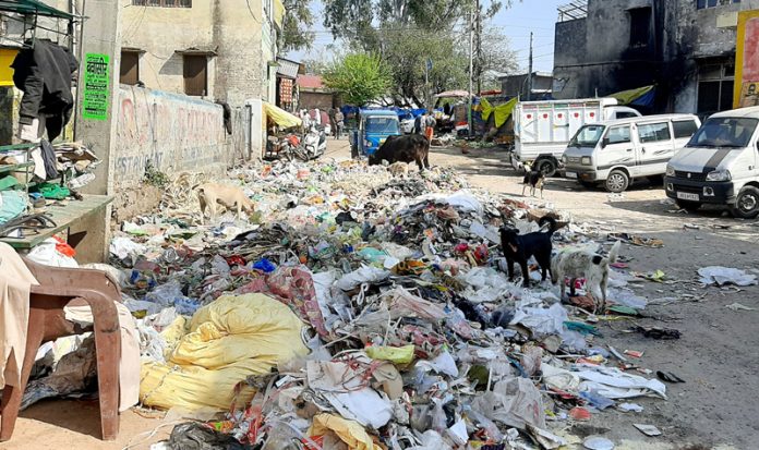 A big garbage dumping station near PDD office opposite old town hall. — Excelsior/K Kumar