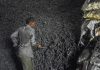Power Min asks imported coal-based plants to run full capacity till Oct 15