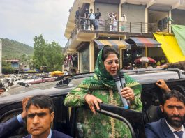 Express Unhappiness Over Abrogation Of Art 370 Through Your Votes: Mehbooba To J&K Voters