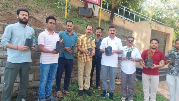 ADC Udhampur and others carrying rose saplings for plantation along Devika in Udhampur.