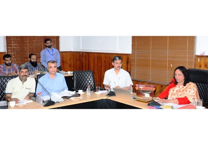 Expenditure Observer Samatha Mullamudi chairing a meeting on Friday.