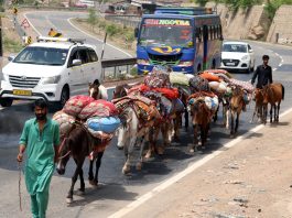 Nomads heading towards higher reaches on Jammu-Srinagar National Highway near Samroli. -Excelsior/Rakesh