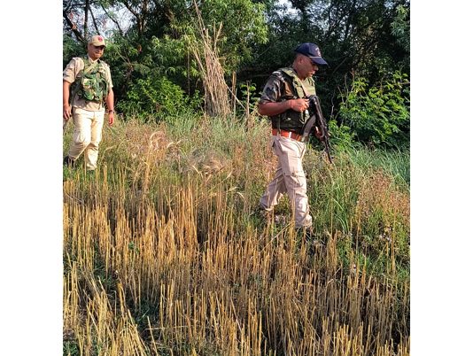 Security personnel conducting searches in border area of Samba district after thwarted drone attempt.