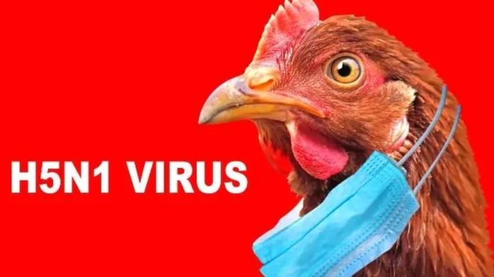 Sri Lanka takes steps to prevent bird flu