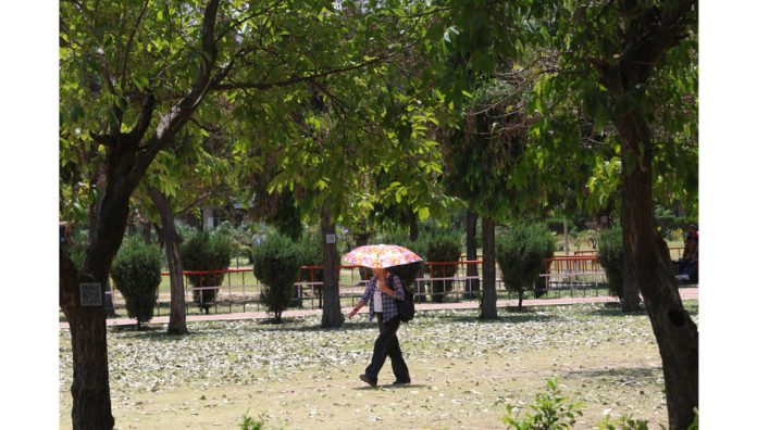A girl holds umbrella as she walks in Jammu University campus on a hot summer day. -Excelsior/Rakesh