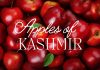 Apples of Kashmir