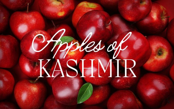 Apples of Kashmir