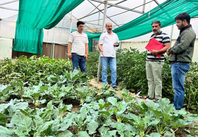 Director Agriculture Kashmir during tour of Ganderbal.