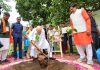 PM's 'Ek Ped Maa Ke Naam' Apt Reply To Climate Change: Shah At Mega Sapling Plantation Drive