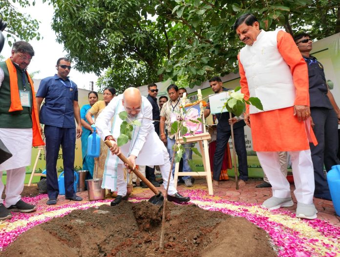 PM's 'Ek Ped Maa Ke Naam' Apt Reply To Climate Change: Shah At Mega Sapling Plantation Drive