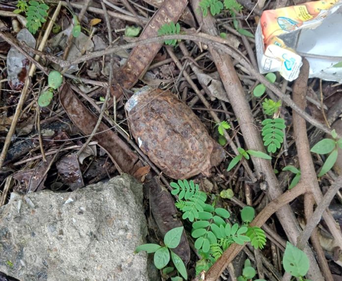 A rusted grenade found in bushes in High Court parking area in Janipur area of Jammu on Monday.