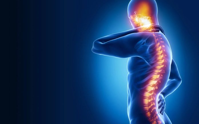 Timely Action And Proper Stabilisation Crucial For Managing Spinal Cord Injuries: Doctors