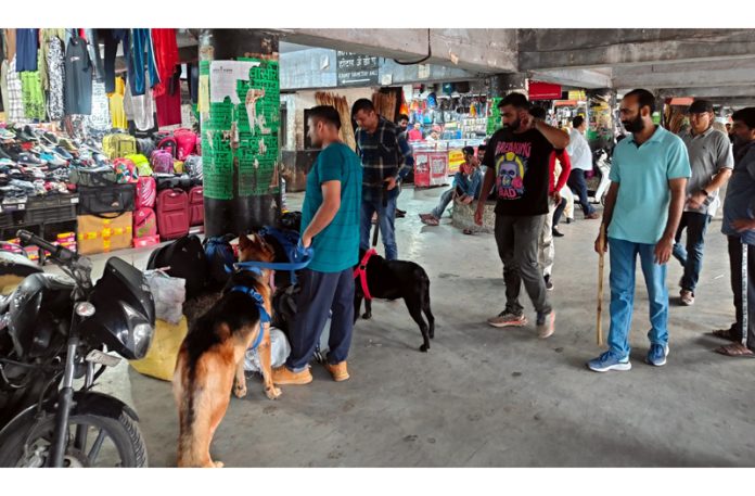 NCB teams with dog squad conducting searches in Jammu City on Saturday.