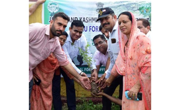 Chief Planning Officer along with others planting sappling on Thursday.