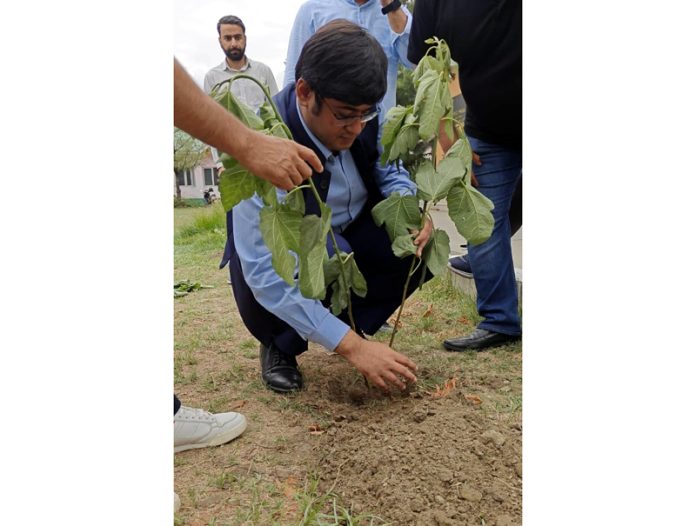 Director Information planting a sapling.