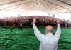 Union Home Minister Amit Shah addressing a massive public rally on Thursday.