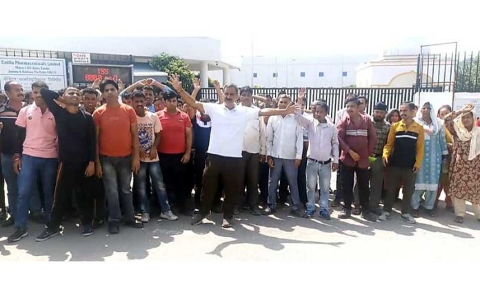 Workers of Cadila Industry protesting at Samba on Tuesday.