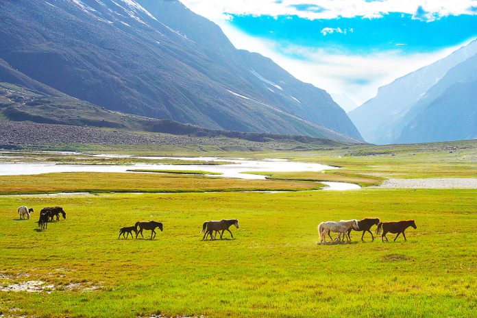 National Geographic Lists Ladakh’s Suru Valley Among World’s 25 Best Destinations To Travel In 2025