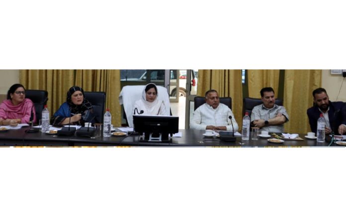 DDC Chairperson chairing a meeting.