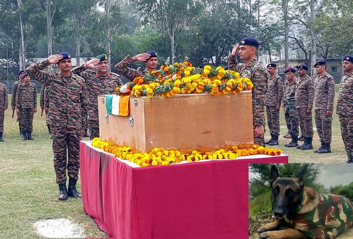 Army paying tribute to canine warrior on Wednesday.