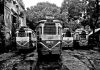  Photo Essay: Kolkata trams finally lose the turf battle