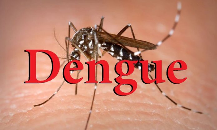 Three dengue cases reported in Jammu