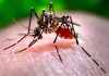 Bangladesh: Dengue death toll exceeds 400