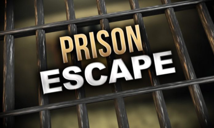 Prisoner escapes from police custody