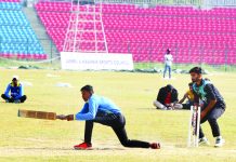 A player in action at 35th Senior National Tennis Ball Cricket championship in MA Stadium Jammu. -Excelsior/Rakesh