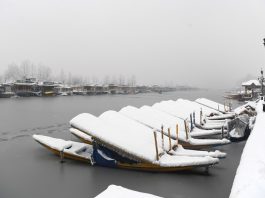 Snow-clad Shikaras in Dal lake, Srinagar on Saturday. -Excelsior/Shakeel