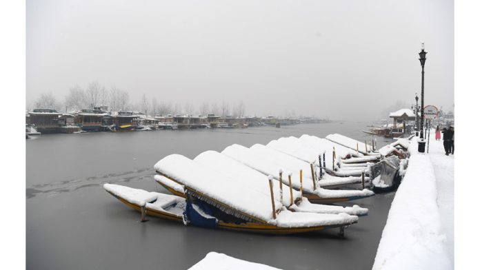 Snow-clad Shikaras in Dal lake, Srinagar on Saturday. -Excelsior/Shakeel