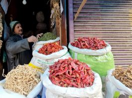 A shopkeeper displays dried vegetables in the Zainakadal area of Srinagar. -Excelsior/Shakeel