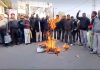 Villagers torch effigy during protest against no supply of drinking water.