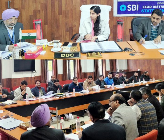 DDC Reasi chairing District Level Review meeting to review Banking Sector performance in District