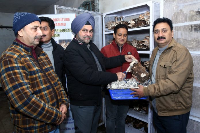 Director Agriculture Jammu Arvinder Singh Reen during inauguration of first harvest of Shiitake Mushrooms.