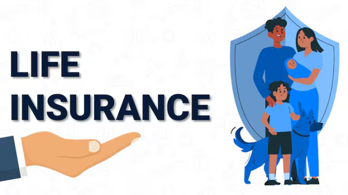 Key Factors to Consider Before Choosing a Life Insurance Policy